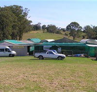 Tinonee Orchid Nursery - Accommodation Main Beach