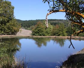 Oak Grove Walk, Balingup - Accommodation Main Beach 0