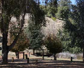 Oak Grove Walk, Balingup - Accommodation Main Beach 2