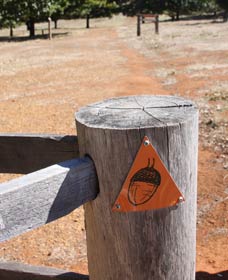 Oak Grove Walk, Balingup - Accommodation Main Beach 3