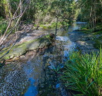 Dawson River walking track - Accommodation Main Beach