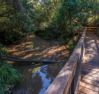 Ms Kellys walking track - Accommodation Main Beach