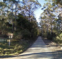 Box Cutting Rainforest Walk - Accommodation Main Beach