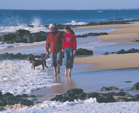 Back Beach - Accommodation Main Beach 0
