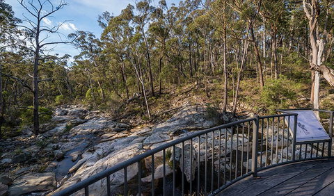 Myanba Gorge Walking Track - Accommodation Main Beach 0