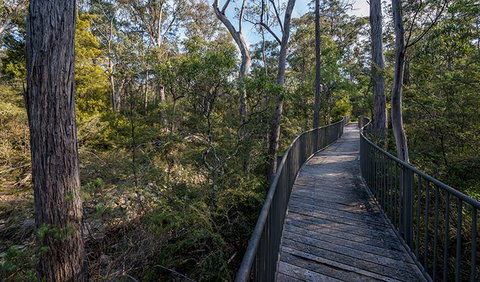 Myanba Gorge Walking Track - Accommodation Main Beach 1