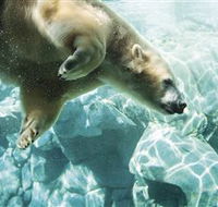 Australia's Sea World - Accommodation Main Beach