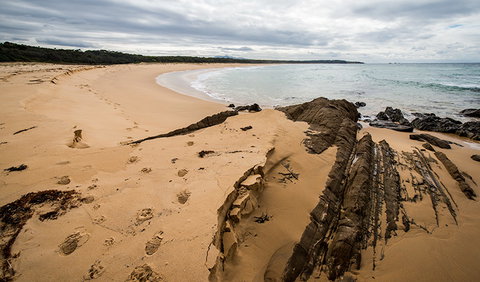 Biamanga National Park - Accommodation Main Beach 1