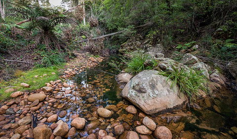 Biamanga National Park - Accommodation Main Beach 2