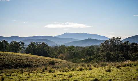 Biamanga National Park - Accommodation Main Beach 3