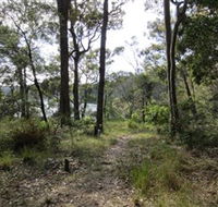 Ringlands Rotary Walk Narooma - Accommodation Main Beach