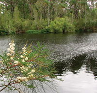 Wallingat National Park