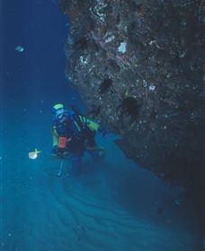 Scottish Prince Dive Site - Accommodation Main Beach 1