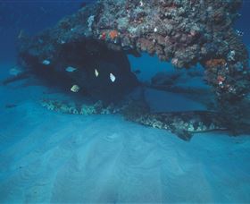 Scottish Prince Dive Site - Accommodation Main Beach 3