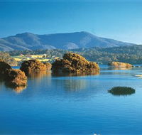 Wagonga Picnic Area - Accommodation Main Beach