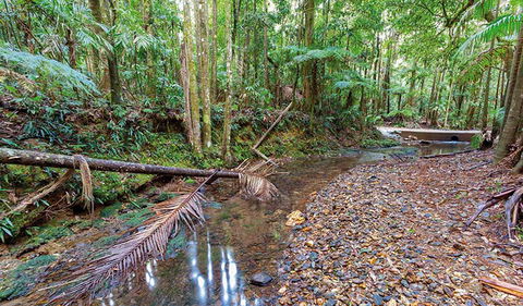 Ulidarra National Park - Accommodation Main Beach 0