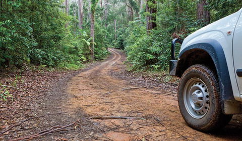 Ulidarra National Park - Accommodation Main Beach 2