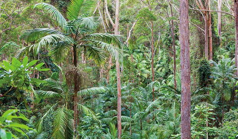 Ulidarra National Park - Accommodation Main Beach 3