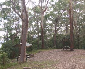 Orara East State Forest - Accommodation Main Beach 2