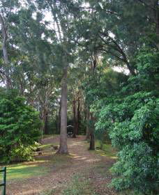 Orara East State Forest - Accommodation Main Beach 1