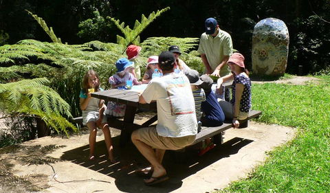 The Pines Picnic Area - Accommodation Main Beach 0