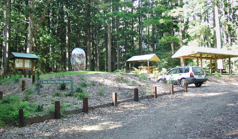 The Pines Picnic Area - Accommodation Main Beach 2