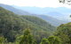 South East Forests National Park - thumb 1