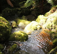 South East Forests National Park - Accommodation Main Beach