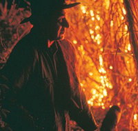 The Shed Gallery - Accommodation Main Beach