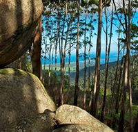 Mount Gulaga Mount Dromedary Walk - Accommodation Main Beach