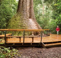 Burrawan State Forest - Accommodation Main Beach