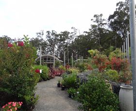 Abundance Lifestyle And Garden - Accommodation Main Beach 6