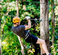 TreeTop Challenge Currumbin - Accommodation Main Beach