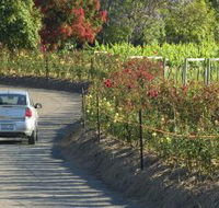 Cassegrain Wines - Accommodation Main Beach