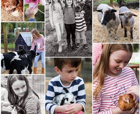 Roses Vineyard And Animal Farm - Accommodation Main Beach 1