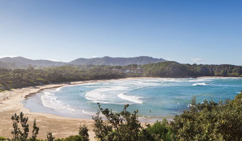 Coffs Coast Regional Park - Accommodation Main Beach 0