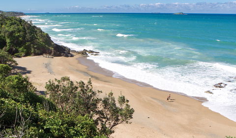 Coffs Coast Regional Park - Accommodation Main Beach 1
