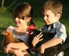 Summerland House Farm - House With No Steps - Accommodation Main Beach 2