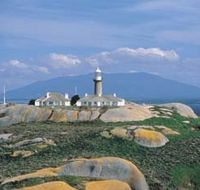 Montague Island Nature Reserve - Accommodation Main Beach