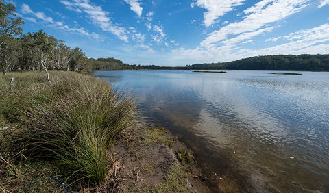 Lake Innes Nature Reserve - Accommodation Main Beach 1