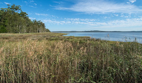 Lake Innes Nature Reserve - Accommodation Main Beach 3
