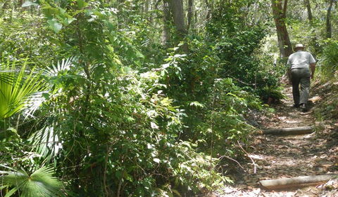 Bridle Trail - Accommodation Main Beach 0