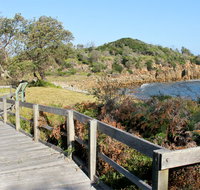 Mimosa Rocks walking track - Accommodation Main Beach