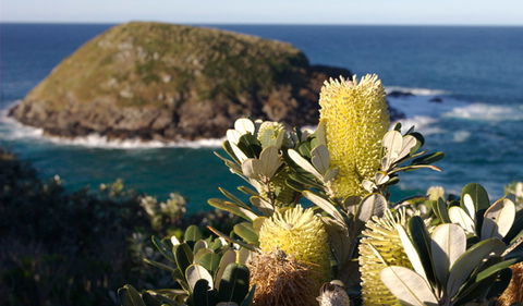 Green Island Walking Track - Accommodation Main Beach 0