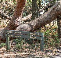 Middle Lagoon walking track - Accommodation Main Beach