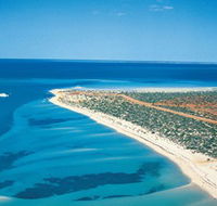 Monkey Mia - Accommodation Main Beach
