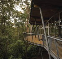 Tarkine Forest Adventures - Dismal Swamp - Accommodation Main Beach