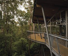 Tarkine Forest Adventures - Dismal Swamp - Accommodation Main Beach 0