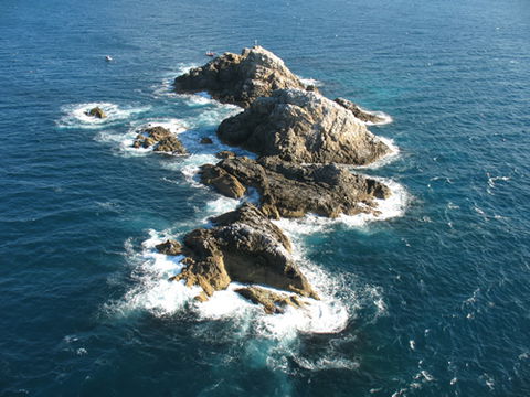 Cape Byron Marine Park - Accommodation Main Beach 1