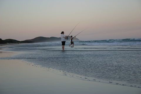 Cape Byron Marine Park - Accommodation Main Beach 2